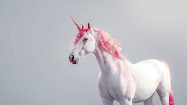 unicornio